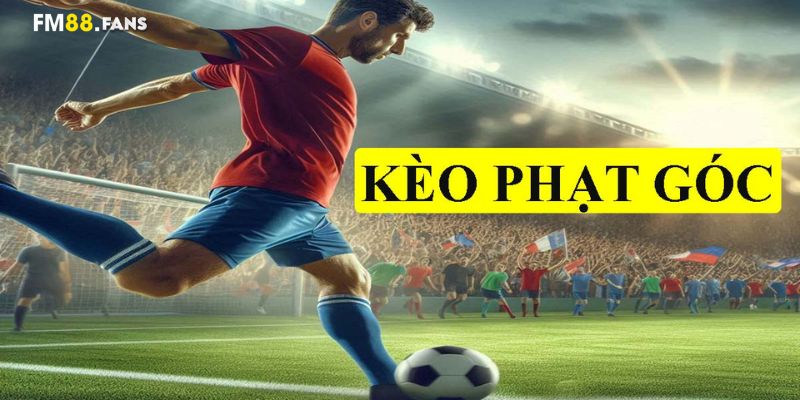 Kèo phạt góc: Loại hình cá cược thú vị cho người yêu bóng đá 3 Một số loại kèo phạt góc phổ biến tại sảnh FM88