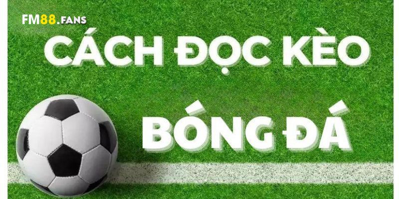 Hướng dẫn đọc kèo bóng đá - Hiểu rõ và đặt cược hiệu quả 2 Tổng quan về cách đọc kèo bóng đá trong cá cược